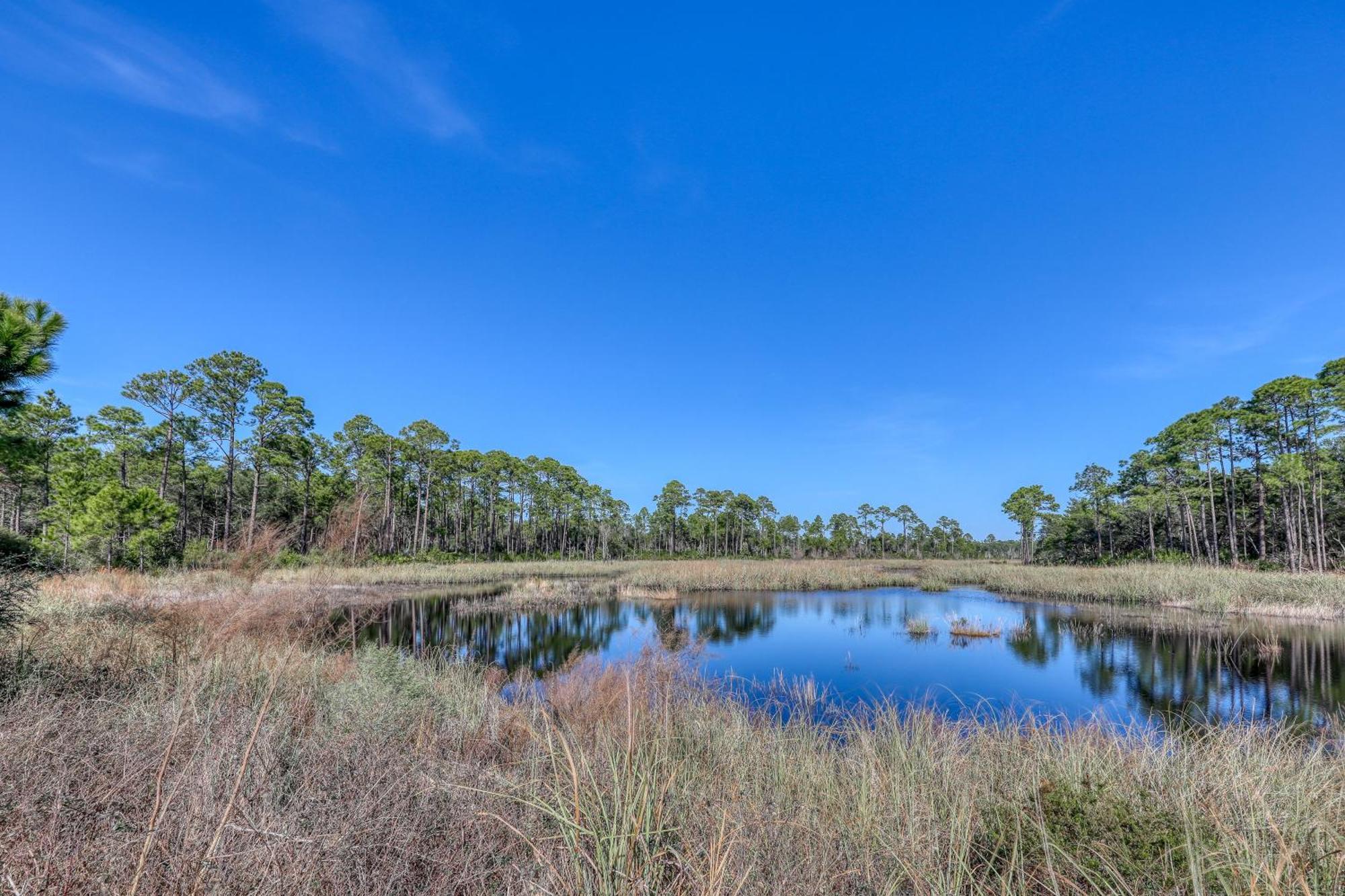 Village Of South Walton B247 Inlet Beach Exteriér fotografie